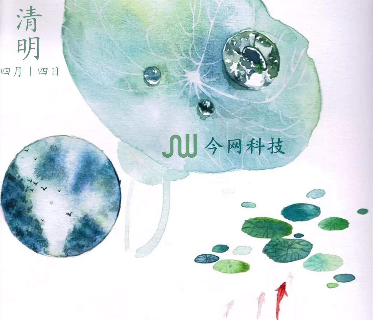 1585636758479460.jpg 官網專用.jpg